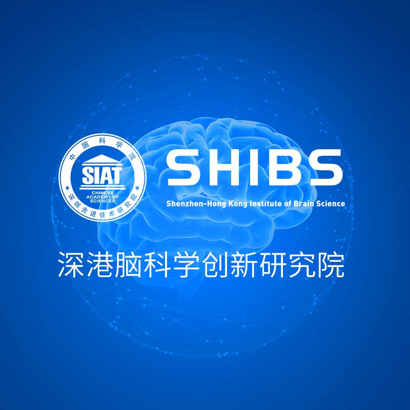 HOLY荷勒与深港脑科(kē)學(xué)创新(xīn)研究院携手合作(zuò)，打造全新(xīn)的官网體(tǐ)验设计